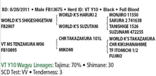 Load image into Gallery viewer, Semen - VT Shigefujiko Y10 (George) - Conventional Semen for Domestic Use