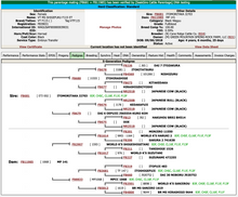 Load image into Gallery viewer, Livestock Female VTF115