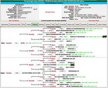 Load image into Gallery viewer, Livestock Female FOX G2