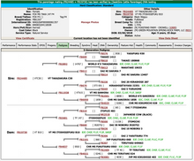 Load image into Gallery viewer, Livestock Female FOX F4