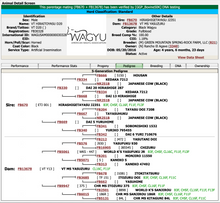 Load image into Gallery viewer, Semen - VT Hiraitoyasu D20 (Chestnut) Semen for Domestic Use Only