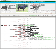 Load image into Gallery viewer, Semen - VT Kitayasuito D43 (Brick) Semen for Domestic Use Only