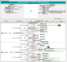 Load image into Gallery viewer, Semen - VT Nakatani F02 - CSS Semen for Domestic Use