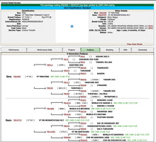 Load image into Gallery viewer, Semen - VT Terutani Tornado F138 CSS Semen, for Domestic Use