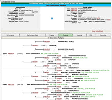 Load image into Gallery viewer, Semen - VT Yoshishige F29 - CSS Semen for Domestic Use
