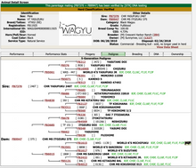 Load image into Gallery viewer, Semen - VT Yasuzuru X02 (Eli) - Conventional Semen for Domestic Use