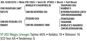 Semen - VT Yasuzuru X02 (Eli) - Conventional Semen for Domestic Use