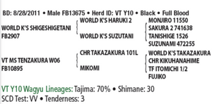 Semen - VT Shigefujiko Y10 (George) - Conventional Semen for Domestic Use