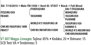 Semen - VT Yasuzuru Doi X07 (Gabriel) - Conventional Semen for Domestic Use