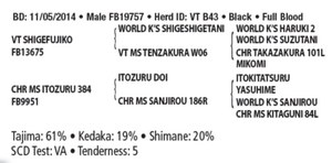 Semen - VT Shigeozuru B43 (Gollum) - Conventional Semen for Domestic Use