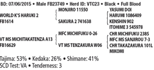 Semen - VT Michiharuki C23 (Hulk) - Conventional Semen for Domestic Use